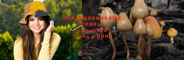 мяу мяу кристалл Магас