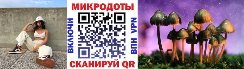 Галлюциногенные грибы прущие грибы  купить закладку  Княгинино 